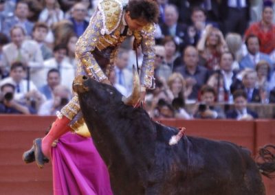 Roca Rey cornada Maestranza